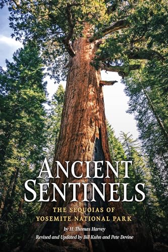 Beispielbild fr Ancient Sentinels: The Sequoias of Yosemite National Park zum Verkauf von ThriftBooks-Atlanta