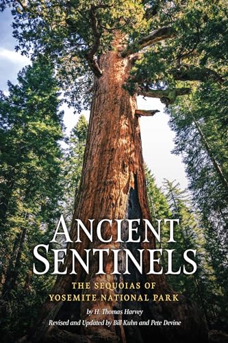 Stock image for Ancient Sentinels: The Sequoias of Yosemite National Park for sale by ThriftBooks-Atlanta