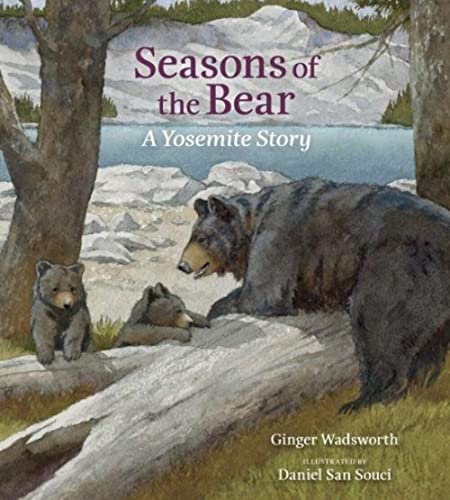 Stock image for Seasons of the Bear: A Yosemite Story for sale by SecondSale