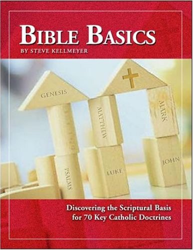 Stock image for Bible Basics: An Introductory Study Guide to the Catholic Faith for sale by ZBK Books