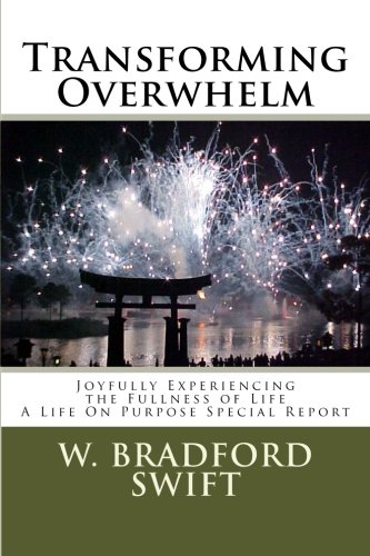 Stock image for Transforming Overwhelm for sale by Revaluation Books