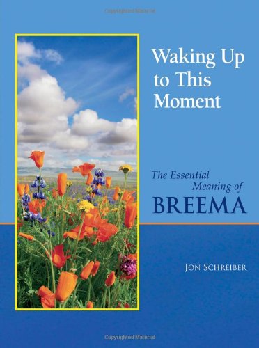 Beispielbild fr Waking Up to This Moment: The Essential Meaning of Breema zum Verkauf von SecondSale