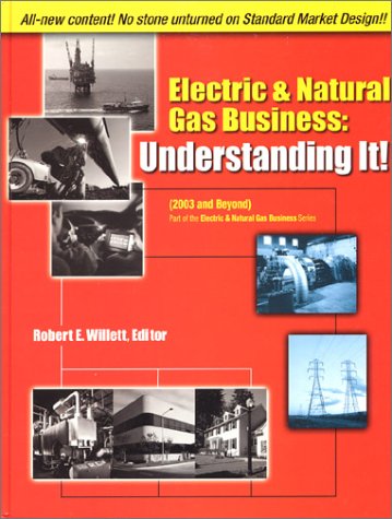 Stock image for Electricity & Natural Gas Business: Understanding It! (2003) (Electric & Natural Gas Business, 3) for sale by GridFreed