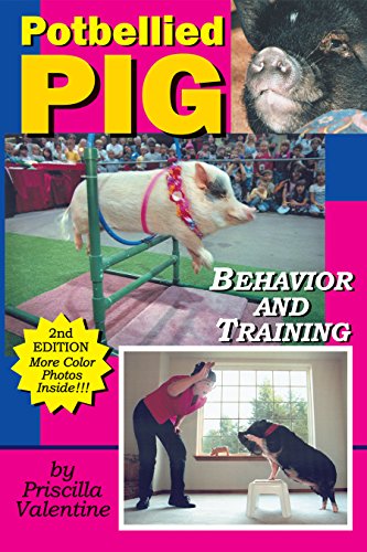 Stock image for Potbellied Pig Behavior and Training: A Complete Guide for Solving Behavioral Problems in Vietnamese Potbellied Pigs, Revised Edition for sale by Wonder Book
