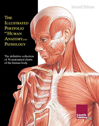 Illustrated Portfolio of Human Anatomy and Pathology: The Definitive Collection of 30 Anatomical Charts of the Human Body (9781930633643) by Scientific Publishing
