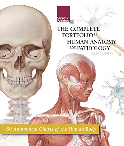 Stock image for Complete Portfolio of Human Anatomy & Pathology for sale by Pieuler Store