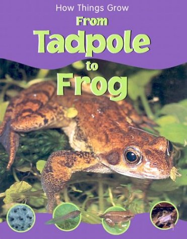 From Tadpole to Frog (How Things Grow): 9781930643857 - AbeBooks