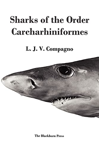 Stock image for Sharks of the Order Carcharhiniformes for sale by Books Unplugged