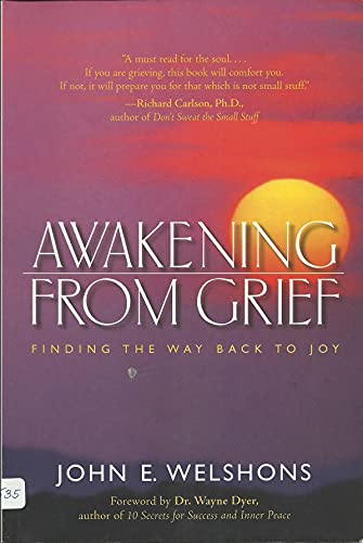 Imagen de archivo de Awakening from Grief: Finding the Way Back to Joy a la venta por Gulf Coast Books