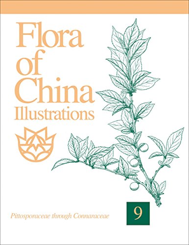 Stock image for Flora of China Illustrations, Volume 9   Pittosporaceae through Connaraceae for sale by Revaluation Books