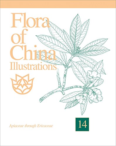 Stock image for Flora of China Illustrations, Volume 14: Apiaceae through Ericaceae for sale by dsmbooks