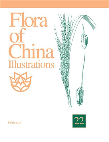 9781930723610: Flora of China Illustrations, Volume 22 – Poaceae