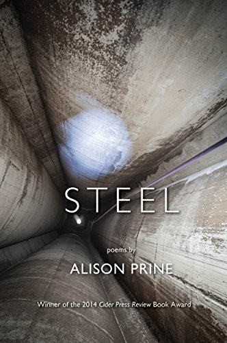 Stock image for Steel for sale by HPB-Ruby