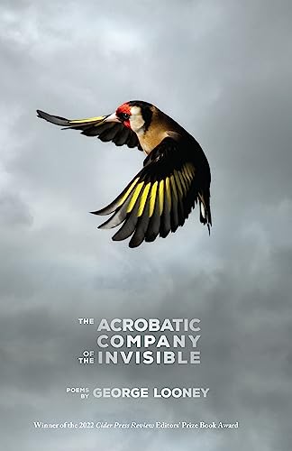 Stock image for The Acrobatic Company of the Invisible for sale by HPB-Ruby