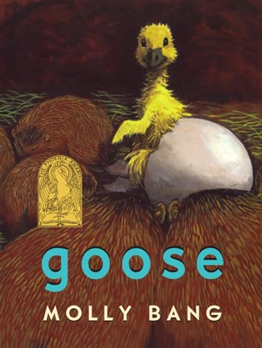 Beispielbild fr Goose zum Verkauf von ThriftBooks-Dallas