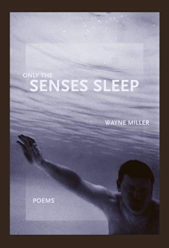 Beispielbild fr Only the Senses Sleep (First Book) zum Verkauf von BooksRun