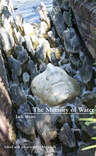 

The Memory of Water (Paperback)