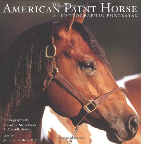 Stock image for The American Paint Horse : A Photographic Portrayal for sale by SecondSale