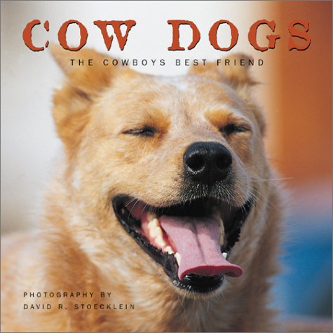 Beispielbild fr Cow Dogs : A Cowboy's Best Friend zum Verkauf von Better World Books