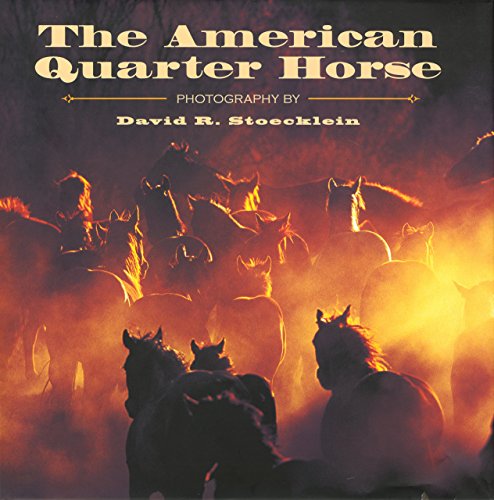 Stock image for American Quarter Horse for sale by Front Cover Books