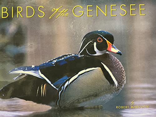 Stock image for Birds of the Genesee: And the Stories of Those Who Watch Them for sale by ThriftBooks-Dallas