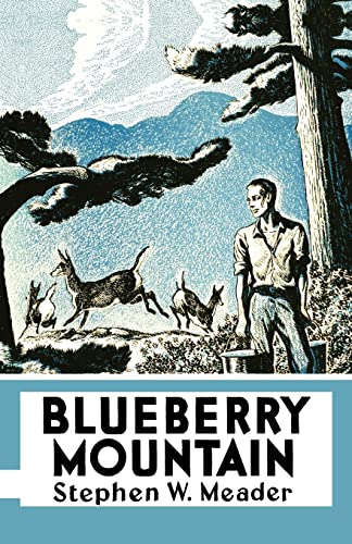 Stock image for Blueberry Mountain for sale by SecondSale