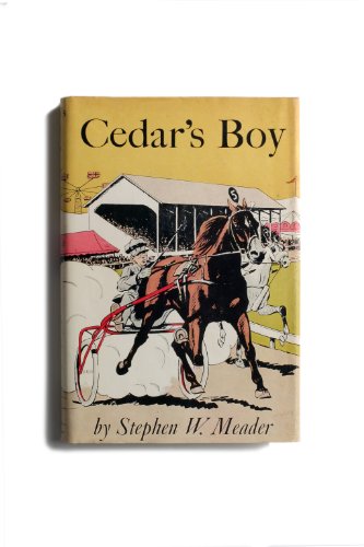 9781931177573: Cedar's Boy