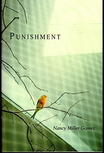 Beispielbild fr Punishment zum Verkauf von Wonder Book