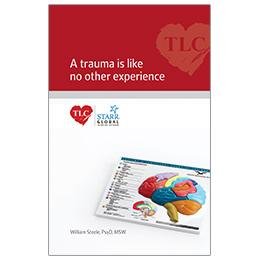 9781931310062: A Trauma Is Like No Other Experience