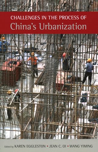9781931368414: Challenges in the Process of China's Urbanization