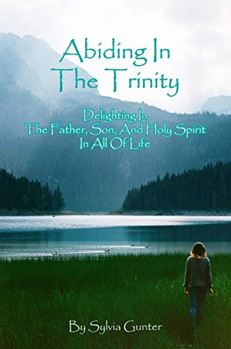 Stock image for Abiding In The Trinity for sale by GF Books, Inc.