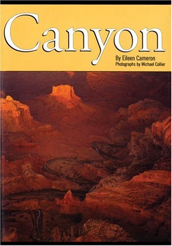 Beispielbild fr Canyon zum Verkauf von Wonder Book