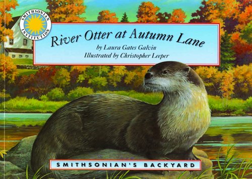 Imagen de archivo de River Otter at Autumn Lane - a Smithsonian's Backyard Book (Smithsonian's Backyard Ser) a la venta por SecondSale