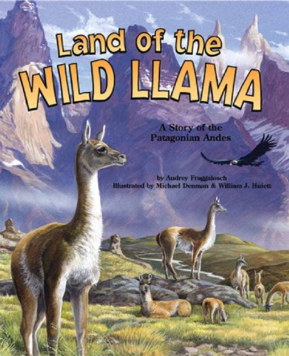 Stock image for Land of the Wild Llama : A Story of the Patagonian Andes for sale by Better World Books