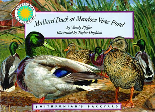 9781931465922: Mallard Duck at Meadow View Pond (Smithsonian's Backyard)