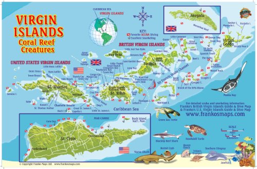 Stock image for Virgin Islands Map & Coral Reef Creatures Guide Franko Maps Laminated Fish Card for sale by Ergodebooks
