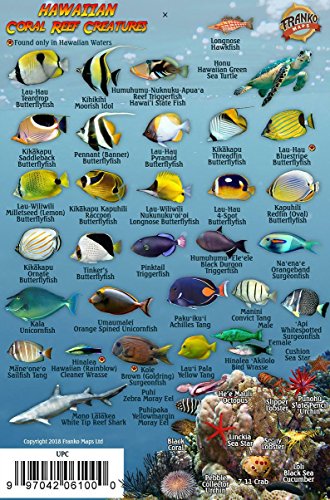 9781931494489: Franko's Hawaiian Islands Reef Creatures Guide