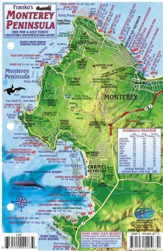 Imagen de archivo de Monterey Peninsula Dive Map & Reef Creatures Guide Franko Maps Laminated Fish Card by Franko Maps Ltd. (2006-06-01) a la venta por Ergodebooks