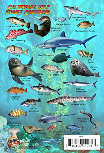 Beispielbild fr California Kelp Forest Creatures Waterproof Fish Card 4" x 6" zum Verkauf von Books Unplugged