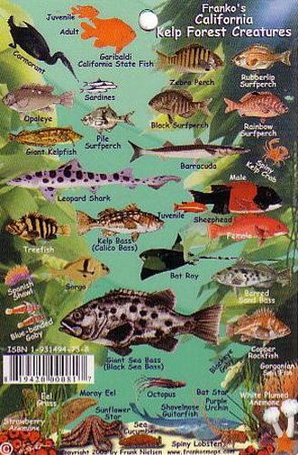 9781931494731: California Kelp Forest Creatures Guide Franko Maps Laminated  Fish Card 4