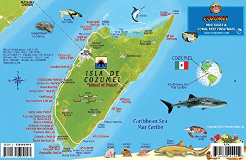 Imagen de archivo de Cozumel Dive Map & Reef Creatures Guide Franko Maps Laminated Fish Card a la venta por Books Unplugged