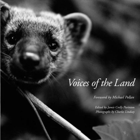 Beispielbild fr Voices of the Land zum Verkauf von Better World Books