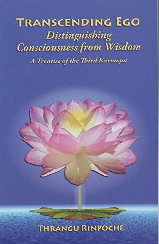 9781931571241: Transcending Ego: Distinguishing Consciousness from Wisdom