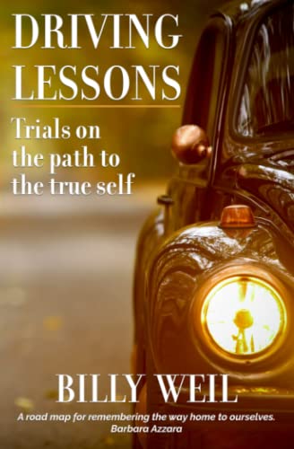 Beispielbild fr Driving Lessons: Trials on the Path to the True Self zum Verkauf von Books Unplugged