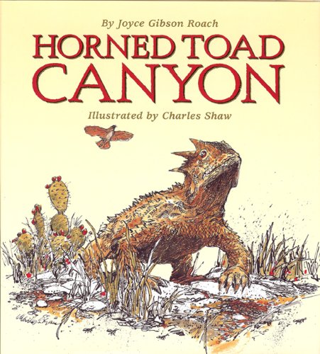 Horned Toad Canyon