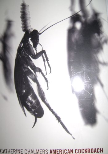 Imagen de archivo de Catherine Chalmers: American Cockroach a la venta por GoldenWavesOfBooks