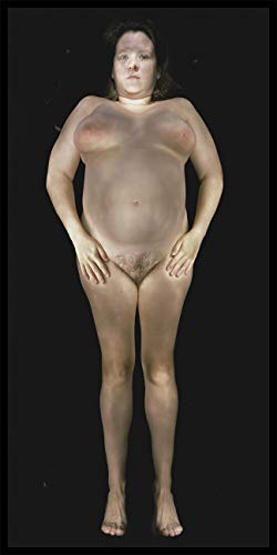 Imagen de archivo de Gary Schneider: Nudes a la venta por Midtown Scholar Bookstore