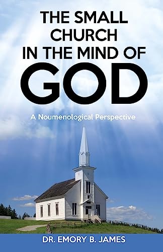 Imagen de archivo de The Small Church In The Mind Of God: A Noumenological Prespective a la venta por THE SAINT BOOKSTORE