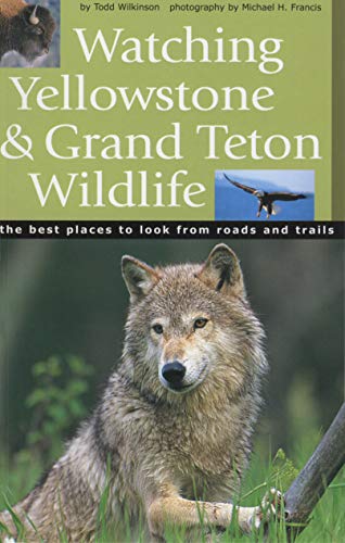 Imagen de archivo de Watching Yellowstone & Grand Teton Wildlife : The Best Places to Look from Roads and Trails a la venta por Better World Books
