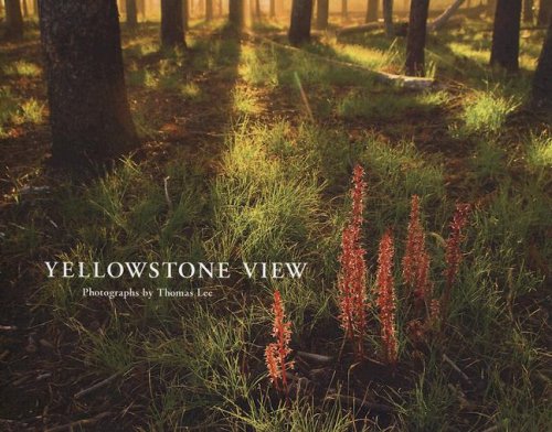 9781931832939: Yellowstone View